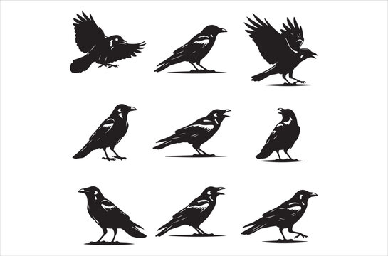 A collection of black silhouettes depicting crows in various poses