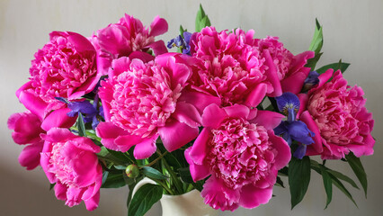 Fototapeta premium Bouquet Of Bright Pink Peonies With Purple Iris Flowers In Vase, Lush Spring Floral Arrangement For Home Interior, Mothers Day And Romantic Gift Concept