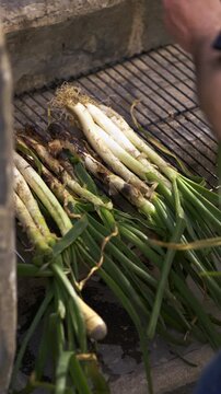 A chef's hand placing fresh Catalan cal&ccedil;ots or catalan onions on a grill to roast them, a traditional Mediterranean dish prepared outdoors for a typical winter barbecue, "Cal&ccedil;otada".