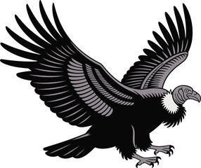Obraz premium Andean Condor Bird Vector Illustration: Flying Vulture Scavenger Graphic.
