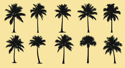Fototapeta premium Silhouette illustrations of various palm tree species are arranged in two rows against a warm and sunny light yellow background backdrop.