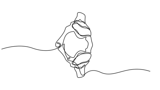 Self drawing line animation Spine continuous one line drawing of human bones concept, Animation video Chiropractor spine, Wrist bones in single line art Animation video . Chiropractor spine. minimal.
