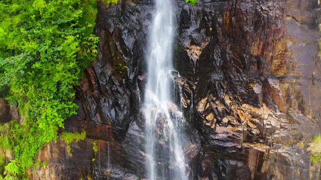 Beautiful waterfall in green forest. Tropical Bambarakanda Falls in mountain jungle, Sri Lanka.