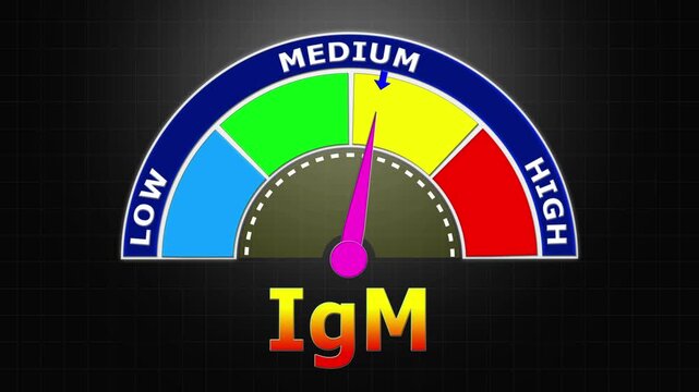 4K Animated IgM Level Meter Increasing from Low to High Levels , Monitoring Acute Infection and Primary Immune Response.