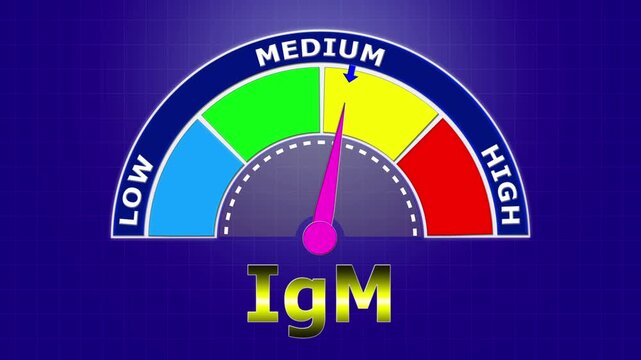 4K Animated IgM Level Meter Increasing from Low to High Levels , Monitoring Acute Infection and Primary Immune Response.