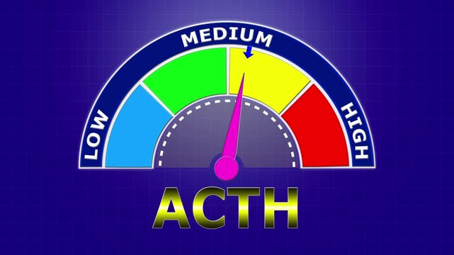 4K Animated ACTH (Adrenocorticotropic Hormone) Level Meter Increasing from Low to High Levels , Monitoring Stress Response and Adrenal Function.