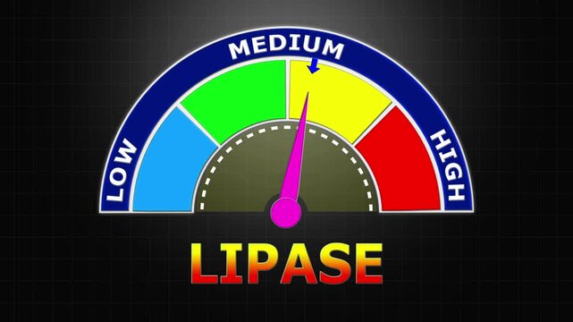 4K Animated Lipase Level Meter Increasing from Low to High Levels , Assessing Pancreatic Enzyme Activity and Pancreatitis Risk.