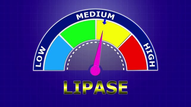 4K Animated Lipase Level Meter Increasing from Low to High Levels , Assessing Pancreatic Enzyme Activity and Pancreatitis Risk.