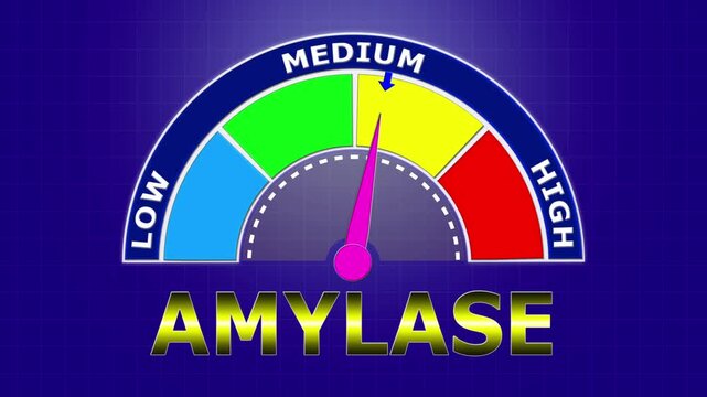 4K Animated Amylase Level Meter Increasing from Low to High Levels , Evaluating Pancreatic Function and Digestive Health.
