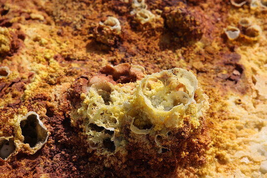 The colors of salt generated by the mineral-laden vapors of Dallol Volcano, Ethiopia