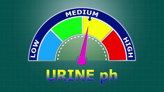 4K Animated Urine pH Meter Increasing from Low to High Levels , Evaluating Acid-Base Balance and Renal Function through Urine Analysis.