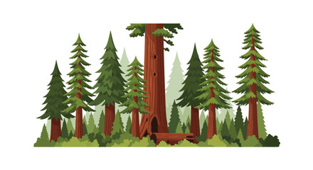 Illustration of a Lush Evergreen Forest with Tall Pine Trees © Rohim