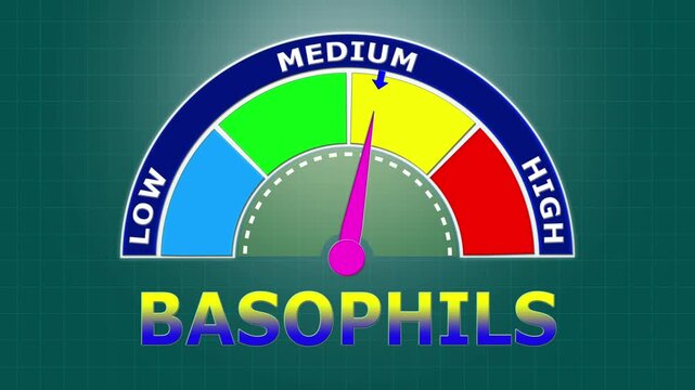 4K Animated Basophils Count Meter Increasing from Low to High Levels , Monitoring Allergic Reactions and Immune Response Triggers.