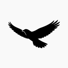 Obraz premium eagle on white background