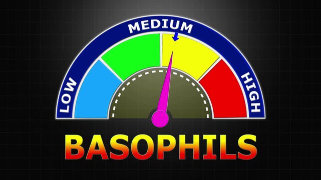 4K Animated Basophils Count Meter Increasing from Low to High Levels , Monitoring Allergic Reactions and Immune Response Triggers.