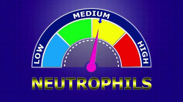 4K Animated Neutrophils Count Meter Increasing from Low to High Levels , Visualizing Immune Response to Bacterial Infections.