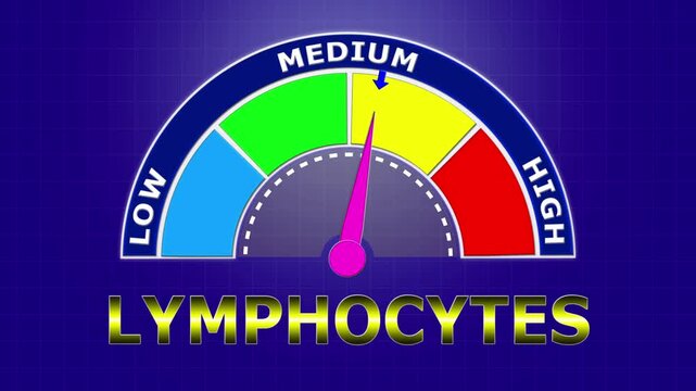 4K Animated Lymphocytes Count Meter Increasing from Low to High Levels , Tracking Immune Response to Viral Infections and Lymphatic Health..