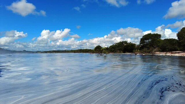 Panoramic lush landscape at canaima lagoon shoreline, foam near water venezuela