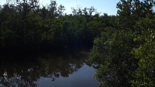 A gorgeous river where the reflection of trees is visible on the water's surface. One can glimpse trees lining the banks beneath a patch of bluish sky.