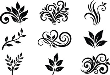 Elegant floral swirl designs on clean white background for graphic design