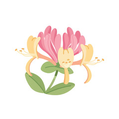 Fototapeta premium Web