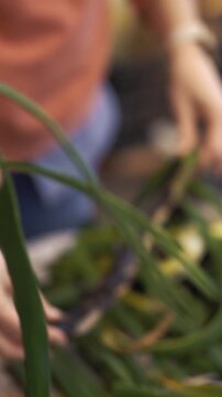 Close-up of a woman peeling and eating a traditional Catalan onion (cal&ccedil;ot) grilled on a barbecue with charred outer skin and romesco sauce to coat it at a Catalan cal&ccedil;otada.