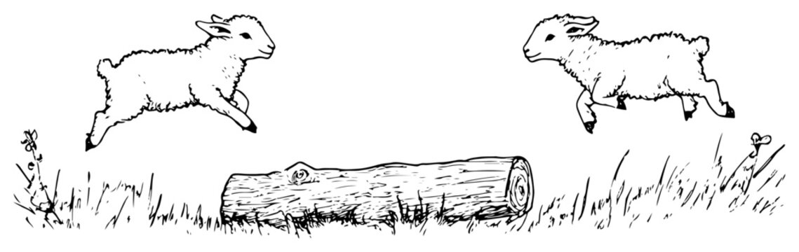 Black and white doodle of two young lambs jumping over a log in a grassy field