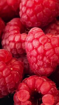 Closeup of fresh red raspberries with visible drupelets and fine hairs against dark background