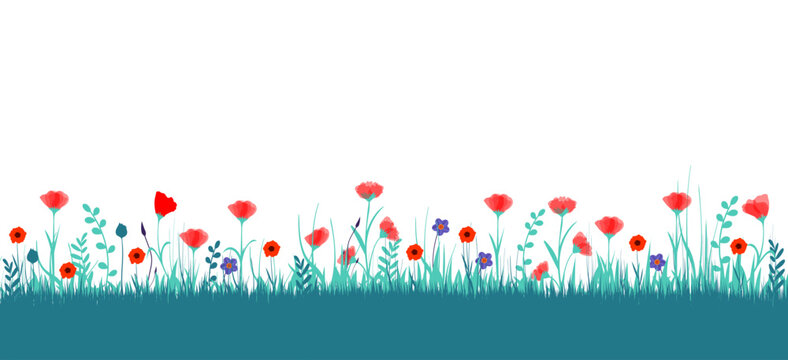 fiori, natura, primavera, campagna, campo di fiori, 