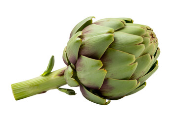 Fototapeta premium A close-up view of a fresh and vibrant green artichoke on a white background