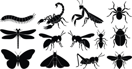 Black insect silhouettes collection including scorpion, spider, dragonfly, butterfly, beetle, ant, moth, grasshopper, fly, mantis, centipede, bee © Niati