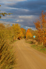 Fototapeta premium Autumn countryside dirt road winding through colorful trees under dramatic cloudy sky. Quiet rural road curving forward, peaceful autumn mood, natural countryside, journey, travel, direction, seasonal
