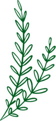 Obraz premium Hand Drawn Green Leafy Branch Illustration Nature Doodle