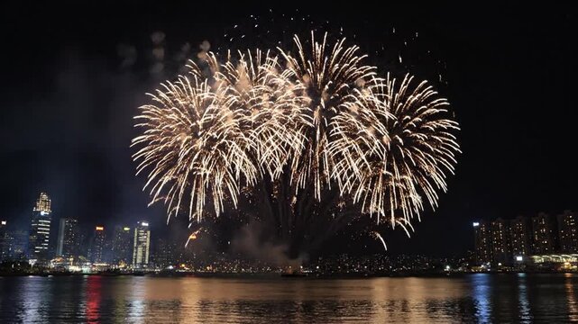 Colorful fireworks exploding over city skyline and water at night