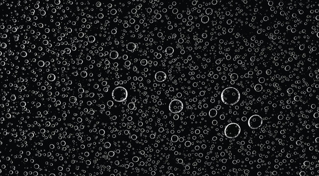 Black background with numerous small and large bubbles floating up, creating a sense of movement and texture