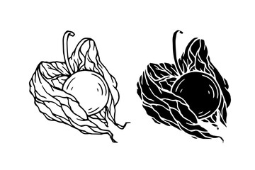 Line sketch, physalis berry stamp. Simple doodle plants. Vector graphics. © Катерина Якубович