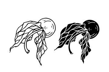 Line sketch, physalis berry stamp. Simple doodle plants. Vector graphics. © Катерина Якубович