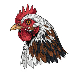 Profile Illustration of a Speckled Rooster © Shahin