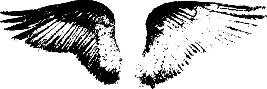 Abstract angel wings with high contrast in stencil style for art and design