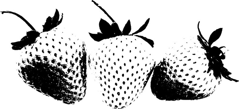 Abstract high contrast stencil of strawberries close up design
