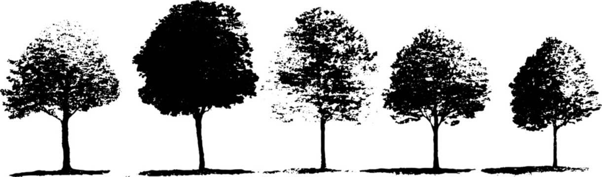 Abstract stencil style tree silhouettes for urban design