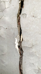 Fototapeta premium Gray wall concrete wall with big deep crack and some of the paint has peeled off.