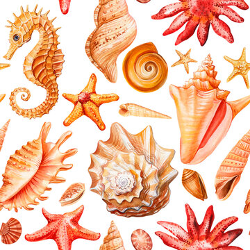 Seahorse seashell patterns with orange starfish coral and conch shells on white background