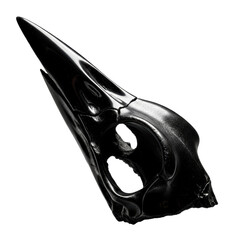 Fototapeta premium Black raven skull on black background