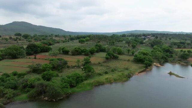 Aerial view of lush vineyard rows and green farmland with red laterite soil patches stretching toward misty hills along a quiet river in rural Karnataka