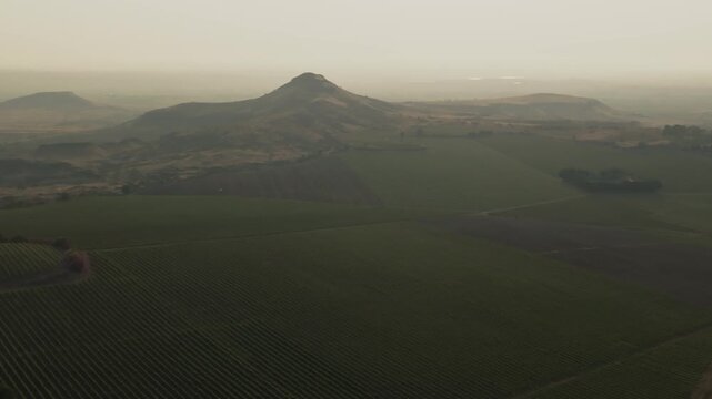 Drone aerial view of sprawling grape vineyard at golden sunset with Deccan plateau hills in the hazy background near Garwad Solapur Maharashtra