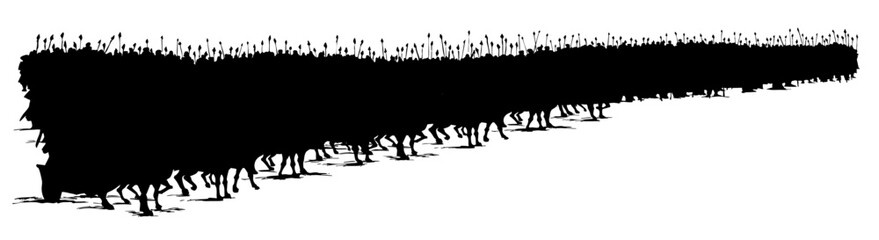 Obraz premium Vector drawing. Army on chariots