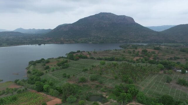 Aerial view of vineyard trellises and farmland along the shores of Gundamagere Lake with the rocky summit of Makalidurga Fort hill rising under an overcast sky in rural Karnataka