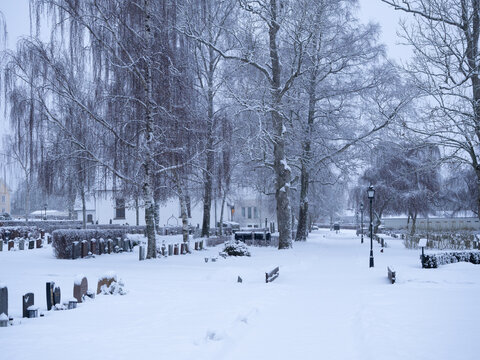 Scandinavian winter