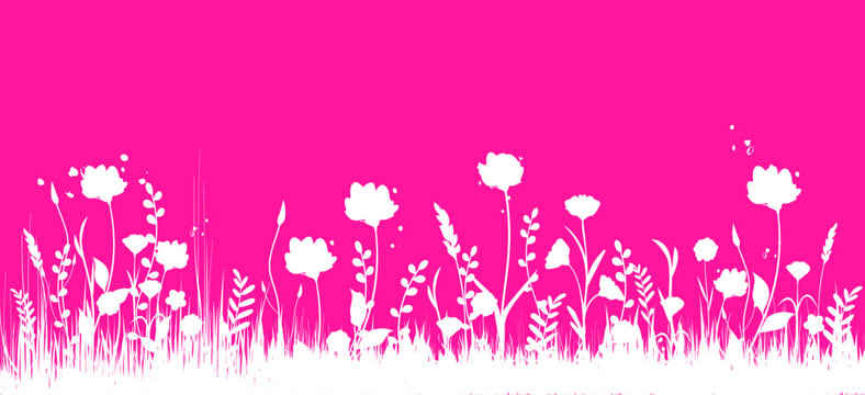 fiori, natura, primavera, campagna, campo di fiori,
